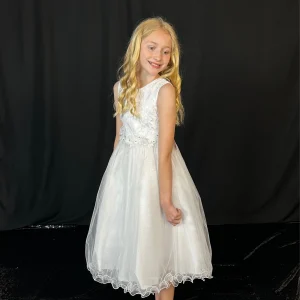 DE3FFSCMDV64HKM45MNXV4PV